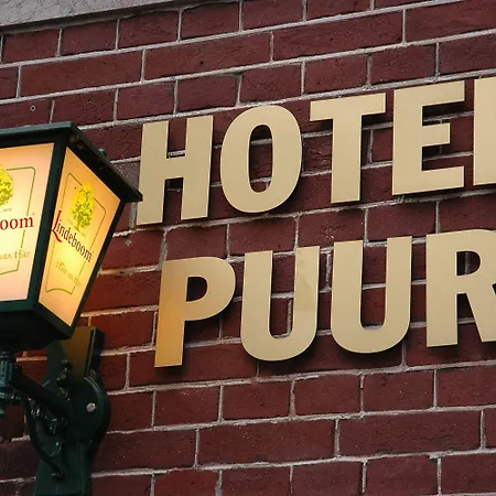 Puur